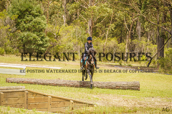 _AJG2799