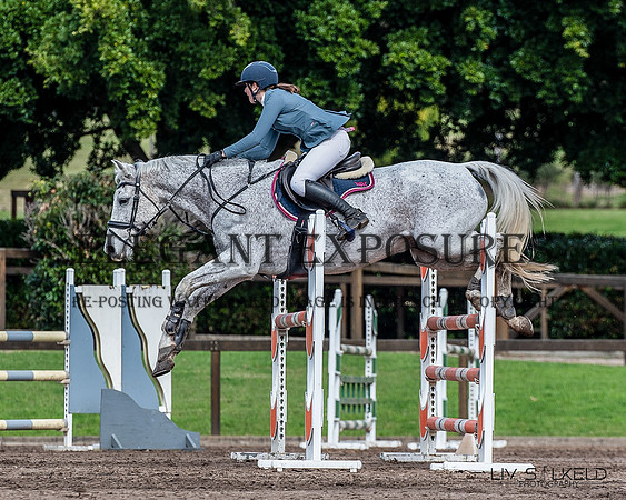 OLS_1398