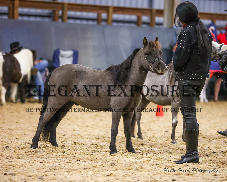 Elegant Exposures | AMHS - Winter - Classes 1-19 30.06.2024