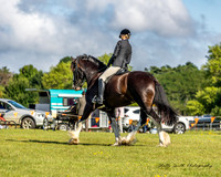 Bowral Show Hack Rings - Sunday 12.01.2025