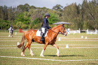 OLS_1191