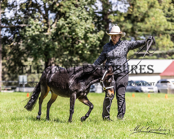 MKG_8873