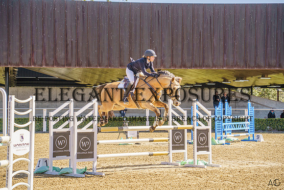 _AJG2011