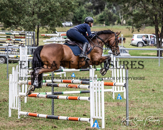 KMS-1161