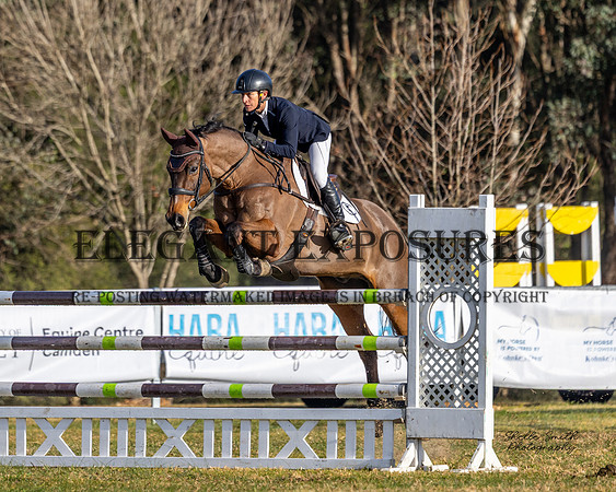 MASX1191