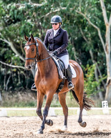 OLS_0337
