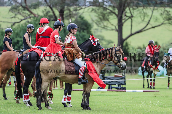 KMS-9587