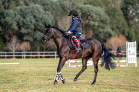 OLS_4467