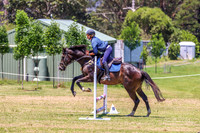 KMS-8631