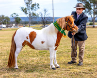 TSPS - Luddenham - Ring 1 - 22.09.2024