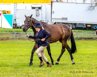 MVS - Show Horses - Ring 3 - 22.03.2025