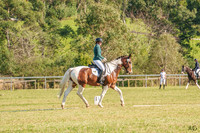_AJG4652