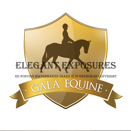 Gala Equine