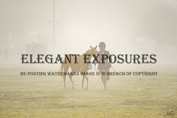 _AJG3013
