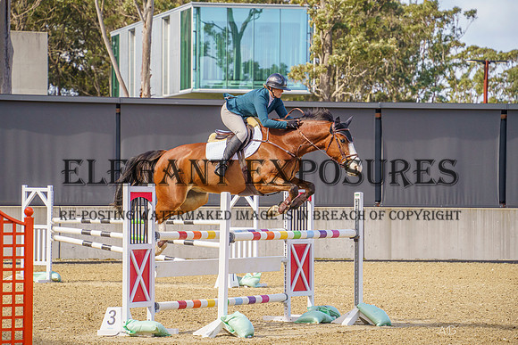 _AJG3158_WPSJ - Ring 2 - 15.09.2024