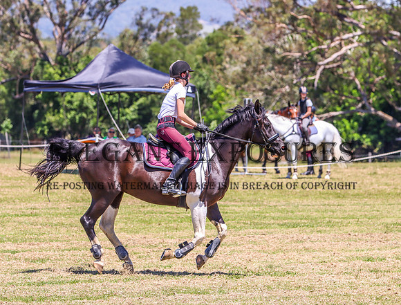 KMS-9033