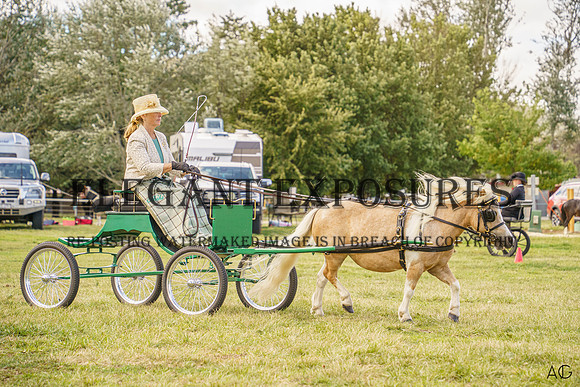 _AJG0263