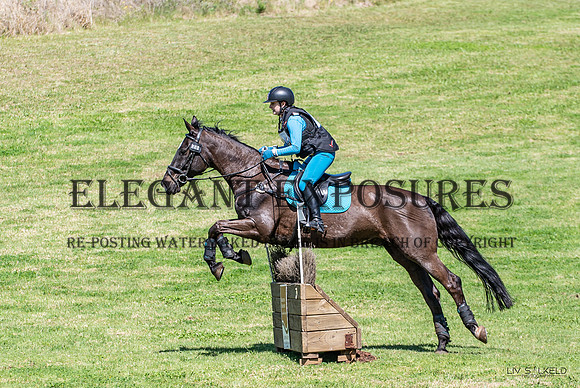 OLS_1461
