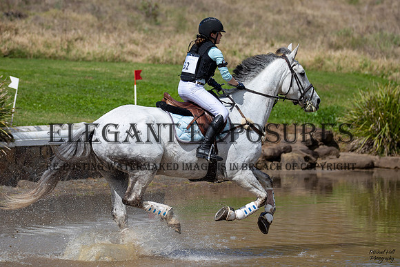 _MHP2009