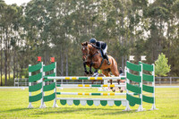 OLS_3137