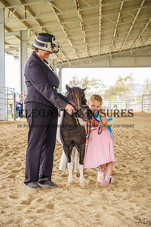 _AJG9331