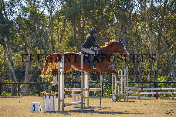 _AJG0794