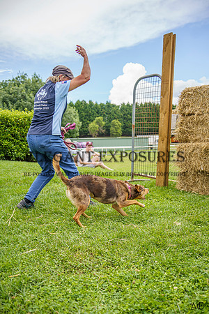_AJG6861
