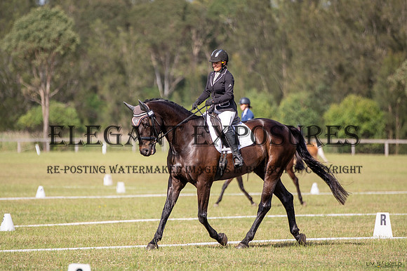 OLS_1323