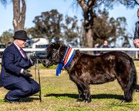 TSPS - Luddenham - Ring 1