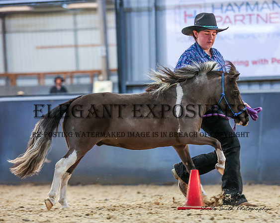 MAS_4489-2