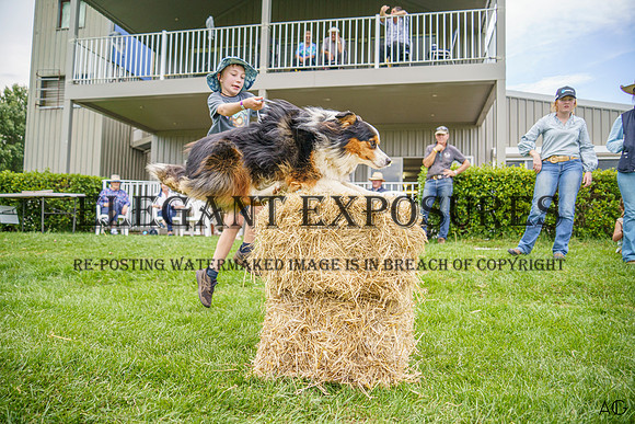 _AJG6790