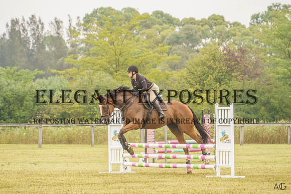 _AJG6896 (1)