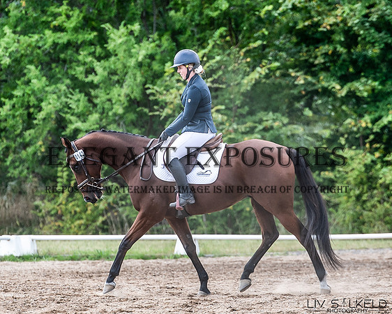 OLS_0486