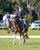 Equestriad - Dressage - PC1 - 17.05.2025