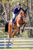 Showjumping