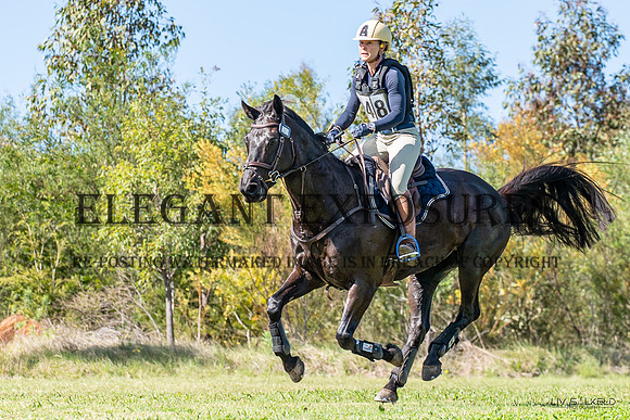 OLS_0944