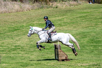 OLS_1378