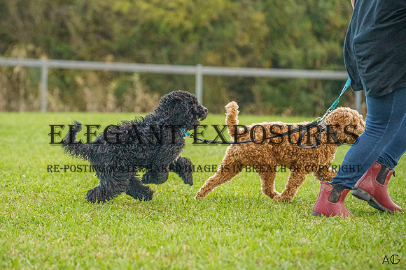 _AJG6328