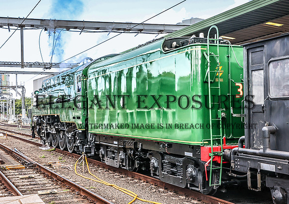3801 Transport Heritage Expo - MAS_2855