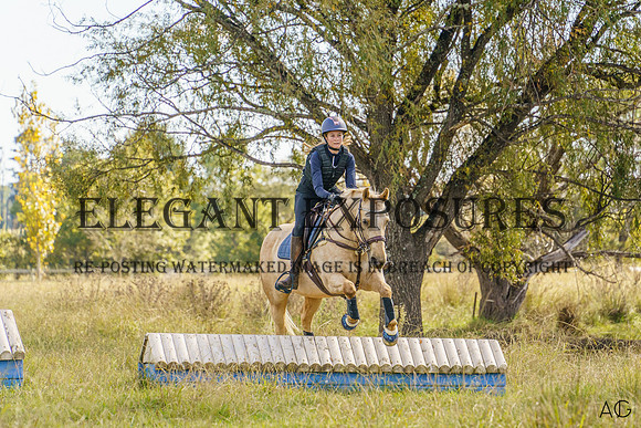 _AJG4880
