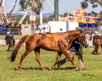 MKG_8458
