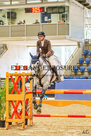 _AJG2016-Enhanced-NR