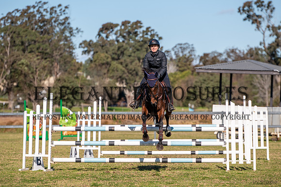 OLS_5361