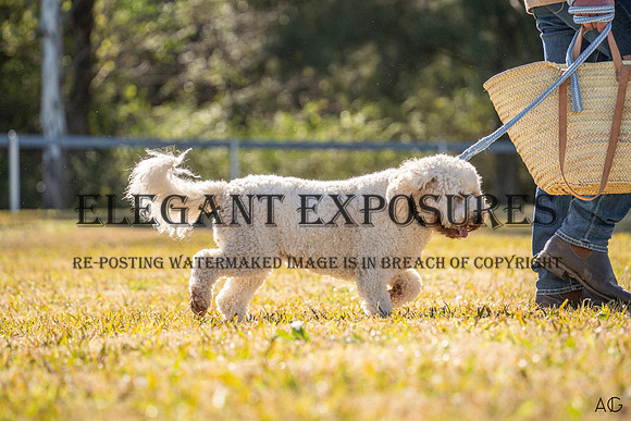 _AJG7055