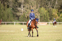 OLS_0975