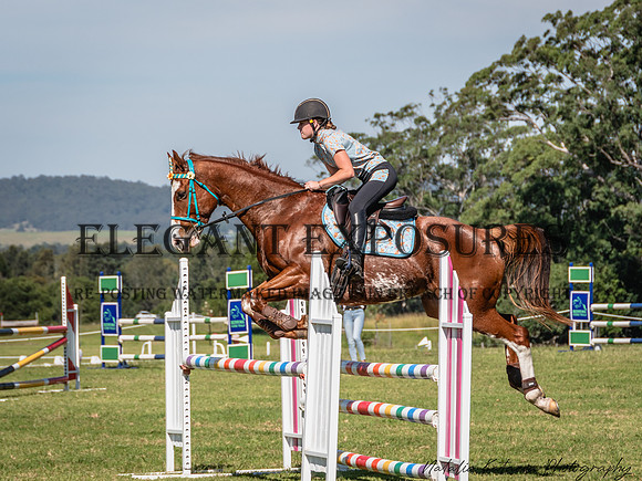 NYK_9960