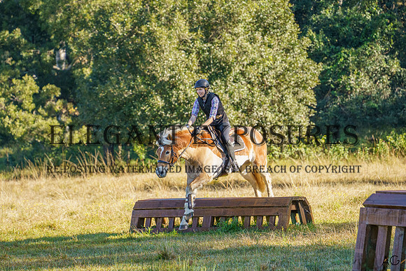 _AJG3791