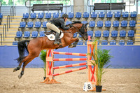 OLS_6956