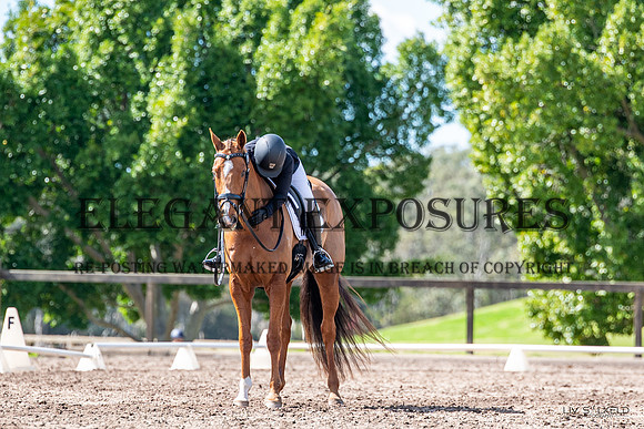 OLS_8421