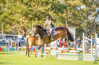 _AJG6529